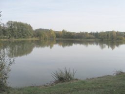 Schneidmuehlweiher003