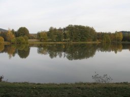 Schneidmuehlweiher007