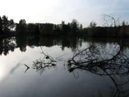 Storchenweiher002