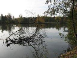 Storchenweiher004