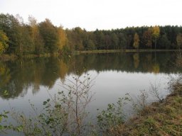 Storchenweiher005