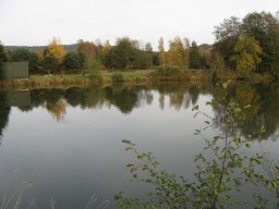 Storchenweiher006
