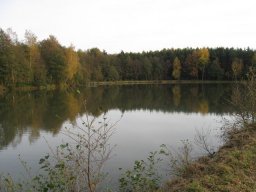 Storchenweiher007