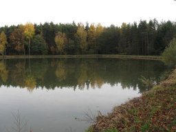 Storchenweiher008