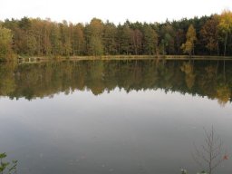Storchenweiher009